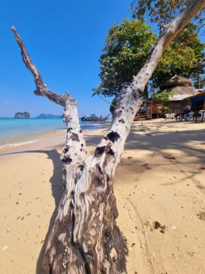 Koh Hai